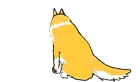 gif gatto animato